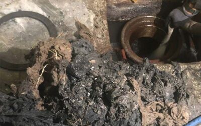 L’importanza della manutenzione periodica delle fosse biologiche